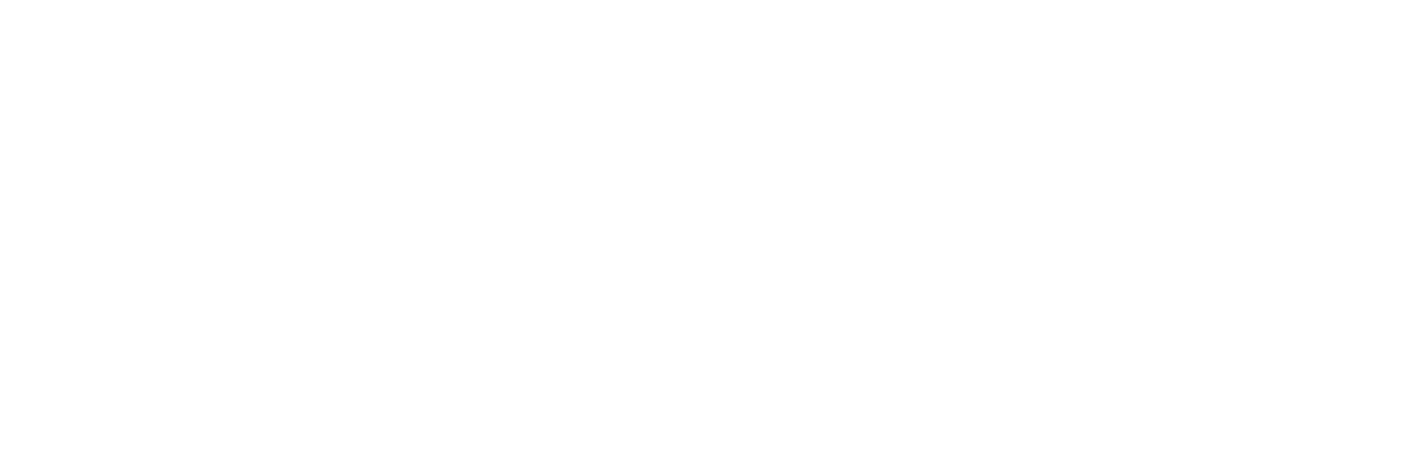 HowTalent dark logo